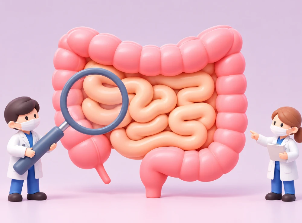 돋보기로 장을 살피는 의사들 일러스트 — 체질별 원인 분석과 장 기능 정상화 치료