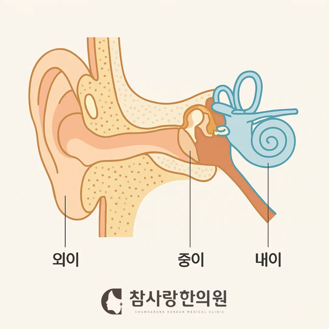 마산 돌발성 난청, 3일 안에 치료해야 하는 이유