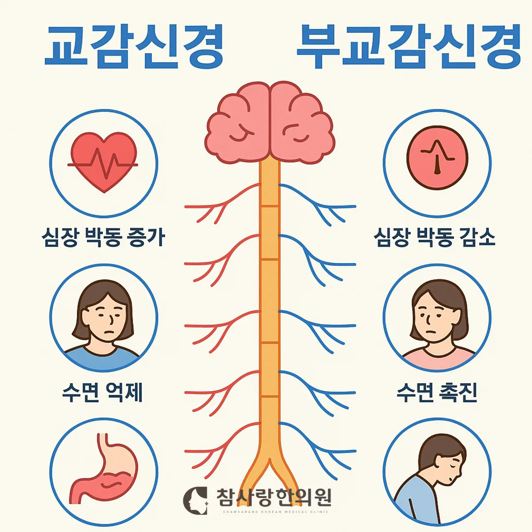 Q. 운동이 도움이 되나요?