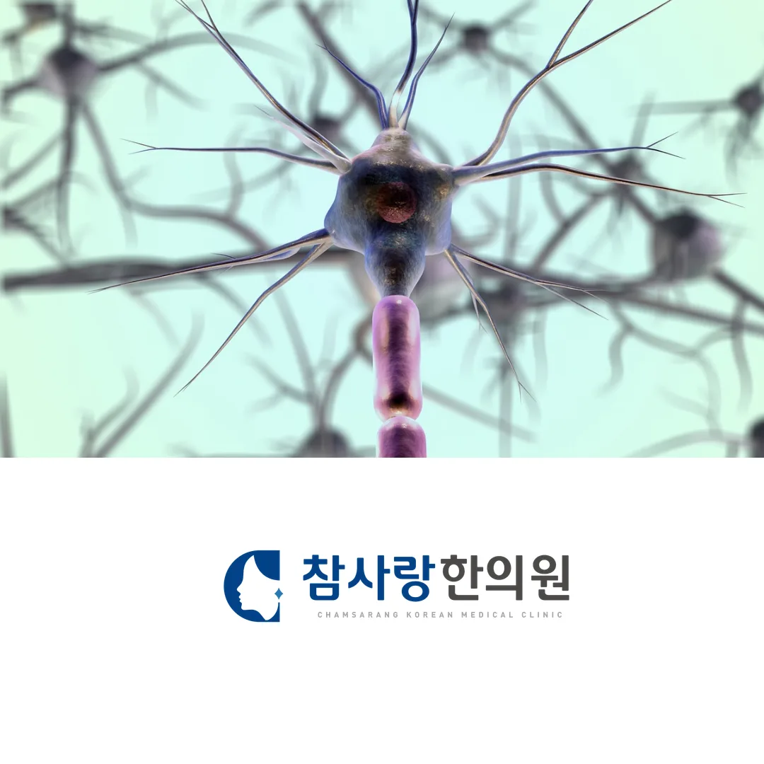 마산 자율신경실조, 가슴 두근거림·불면이 계속된다면 의심해보세요