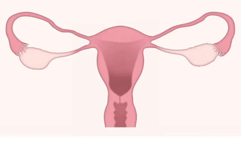 몸이 예전 같지 않다면? 마산에서 알아보는 산후보약의 필요성