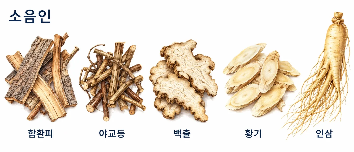 두드러기 피부를 겪는 소음인에게 고려할 수 있는 약재