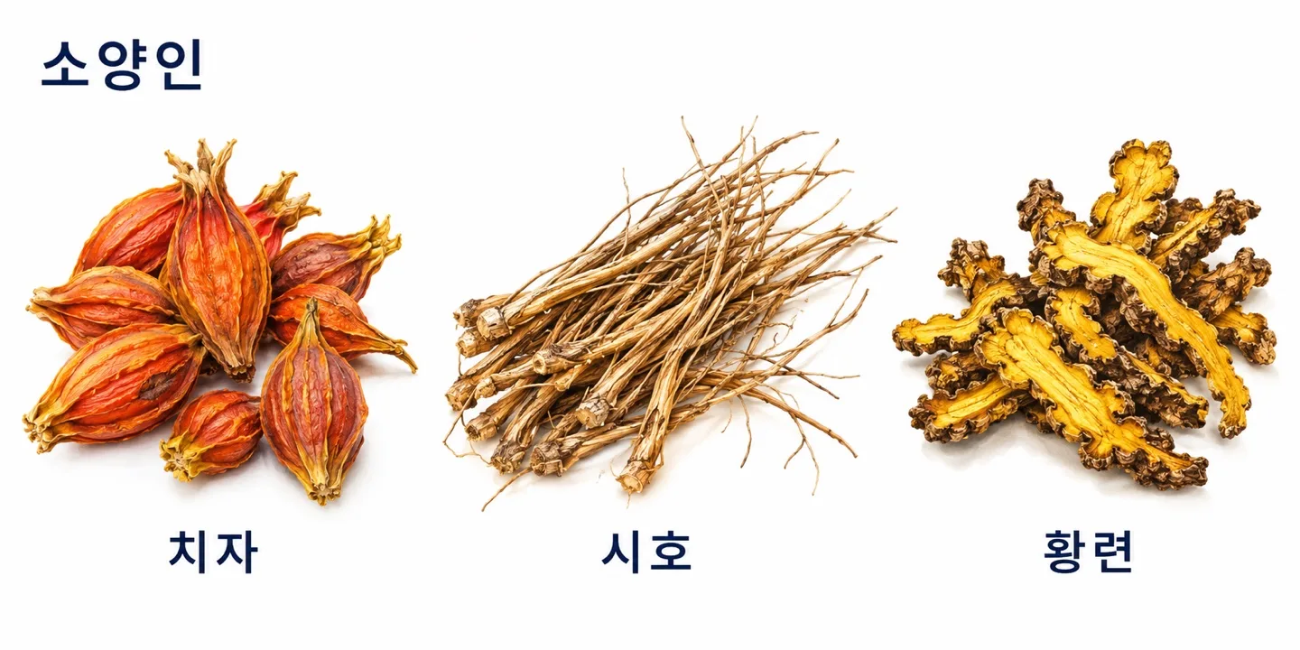 두드러기 피부를 겪는 소양인에게 고려할 수 있는 약재
