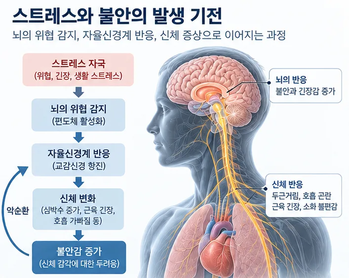 스트레스와 불안장애